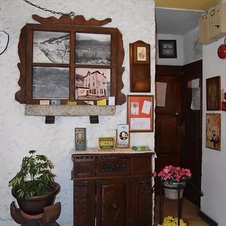 Torena Aprica